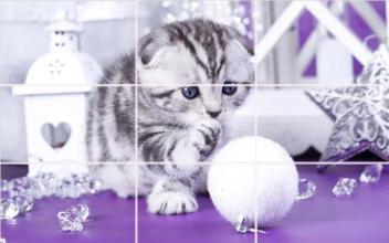 kittens Puzzle截圖5