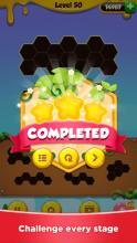 Hexa Puzzle - Block Puzzle Master截图2