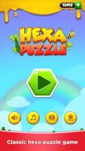 Hexa Puzzle - Block Puzzle Master截图