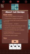 Call Bridge截图3