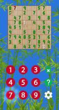 Super Sudoku Pro截图4