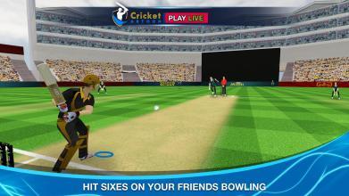Cricket Multiplayer截图4