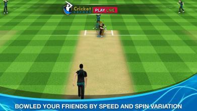 Cricket Multiplayer截图3