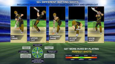 Cricket Multiplayer截图2