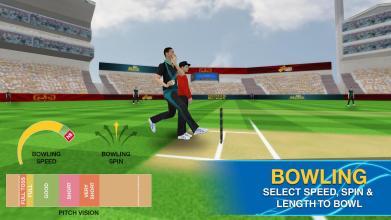 Cricket Multiplayer截图1