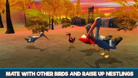 Pelican Bird Simulator 3D截图5