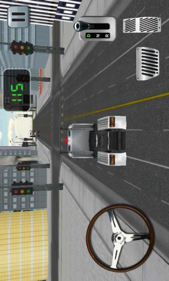 3D汽车运输停车截图3