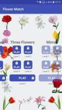 Brain game - Flower match & Game Casual截图1