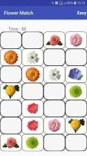 Brain game - Flower match & Game Casual截图