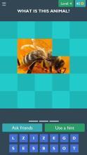 Guess The Picture (Animal)截图2