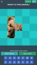 Guess The Picture (Animal)截图1