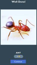Guess The Picture (Animal)截图