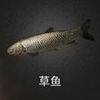 《明日之后》草魚釣魚地圖位置一覽 草魚在哪里釣