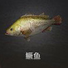 《明日之后》鱖魚(yú)怎么釣 鱖魚(yú)在哪里釣