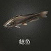 《明日之后》鯰魚(yú)怎么獲得 鯰魚(yú)釣魚(yú)位置在哪