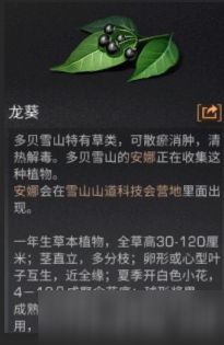 《明日之后》龍葵獲取攻略  龍葵位置分布介紹