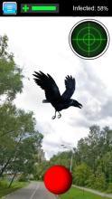 Pocket Raven GO截图