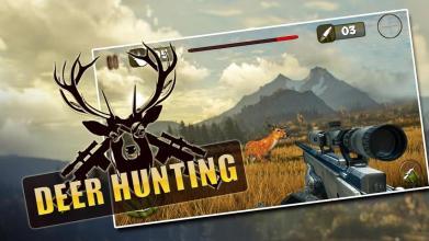 Deer Hunting 2019截图1