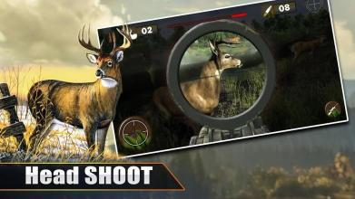 Deer Hunting 2019截图