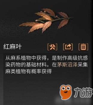 《明日之后》怎么獲取紅麻葉 紅麻葉獲取攻略分享