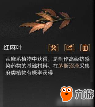 《明日之后》紅麻葉獲得方法介紹 紅麻葉如何獲取