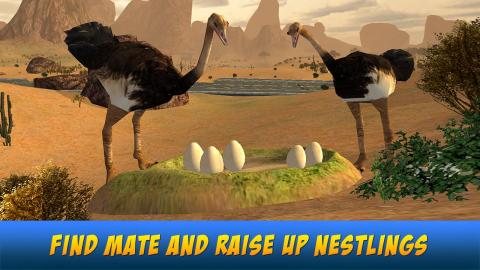 Ostrich Bird Simulator 3D截图5