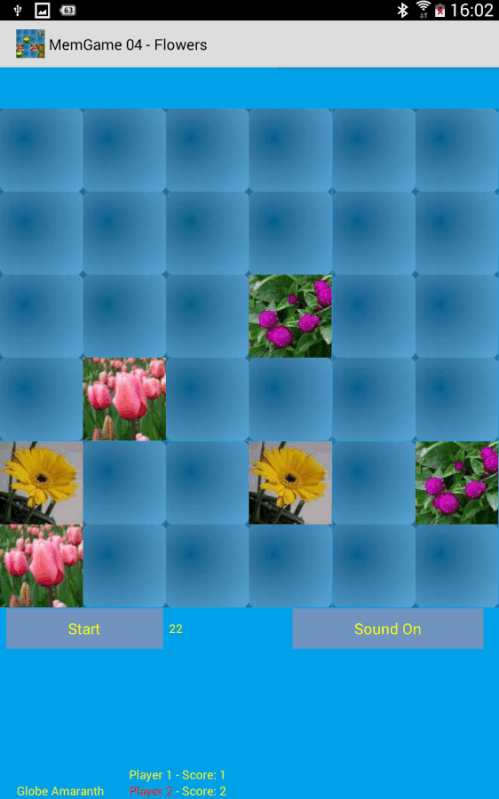 MemGame 04 - Flowers截图4