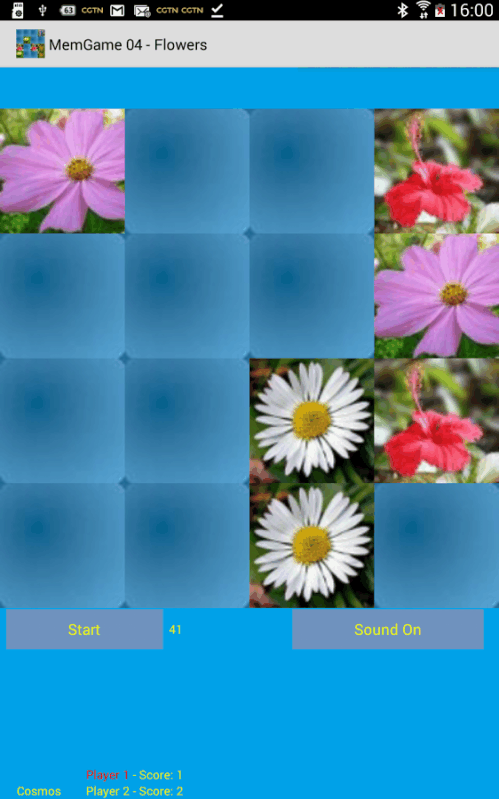 MemGame 04 - Flowers截图3