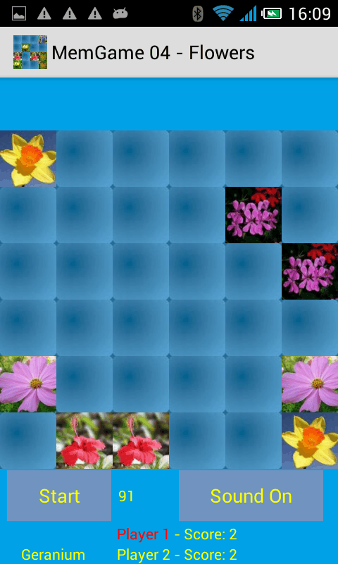 MemGame 04 - Flowers截图1