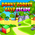 森林逃亡游戏 - 邦尼森林洞穴截图