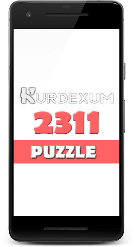 2311 Puzzle截图1