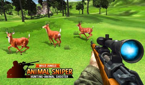 森林 动物 狙击兵 狩猎 3D截图