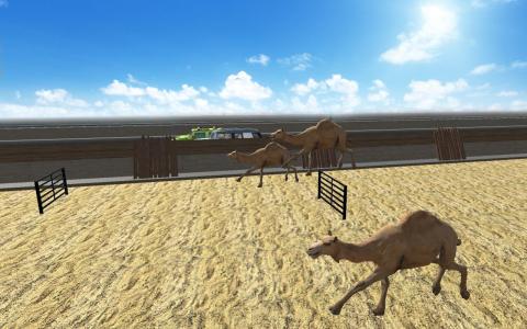 骆驼种族迪拜骆驼模拟器截图3