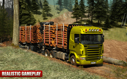 货物 卡车 真实 驾驶 游戏截图