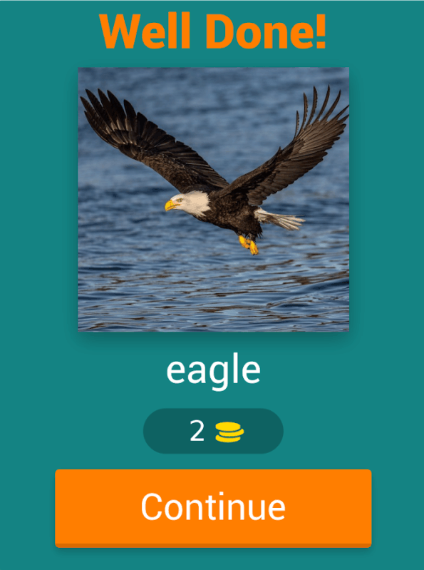 Bird Quiz截图2