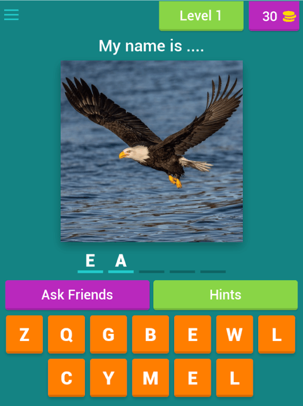 Bird Quiz截图1