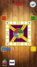 Ludo vink截图1