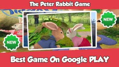 Peter Rabbit Game截图3