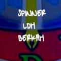 SPINNER LDH BERKAH截图