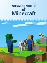 Build Minecraft World截图1