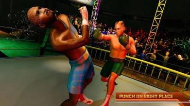 Ninja Punch Boxing Fighter Kung Fu Combat World截图3