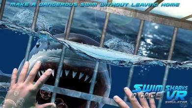 Swim Sharks In Cage VR Simulator截图2