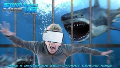 Swim Sharks In Cage VR Simulator截图1