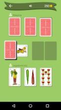 Briscola: card game截图1