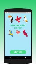 What kind of bird are you? Test截图