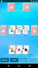 Schwimmen Deluxe (card game)截图