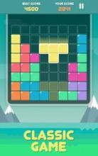 Pro Block Puzzles截图2