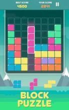 Pro Block Puzzles截图1