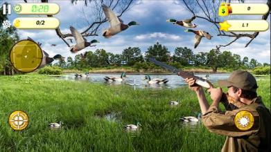 Duck Hunting Adventure截图