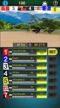 Pick Dog Racing截图3